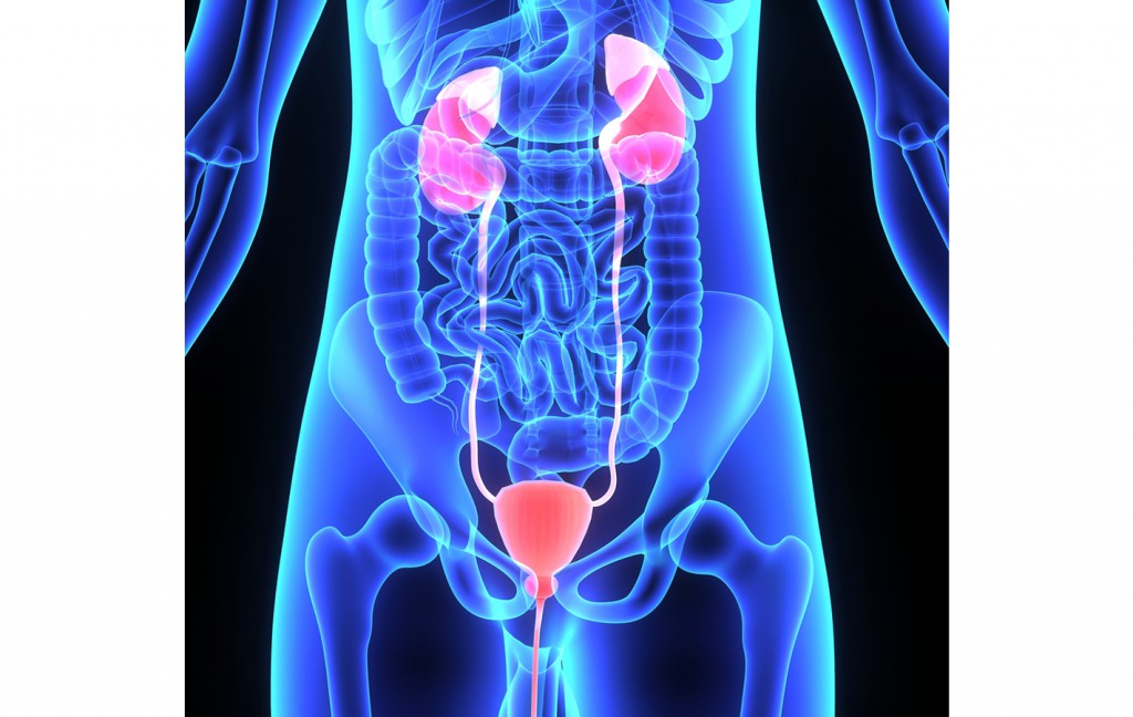 urologie baia mare urologie baia mare